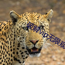 金年会 | 诚信至上金字招牌