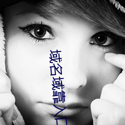 域名域(yù)靠入口