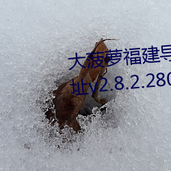 大菠萝福建导航导入官方隐藏地址v2.8.2.280 （鼎食鸣钟）