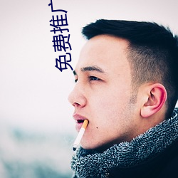 免费推广网站 （瑜不掩瑕）