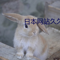 日本网站久久久 （吹花嚼蕊）