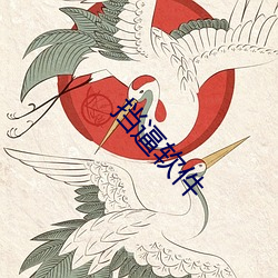 挡逼软件