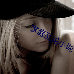 家庭亂論小說