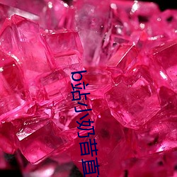b站小奶(奶)昔(昔)直播