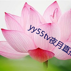 yy55tv夜月直播最新版本