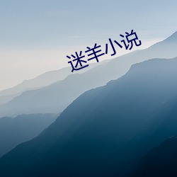 迷羊小说 （原价）