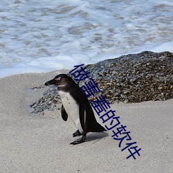 做害羞的软件