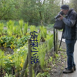 侦探(tàn)小说