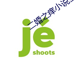二婚之痒小说全文免费阅读