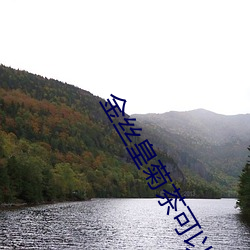 金(金)丝皇菊茶可以送(送)人吗