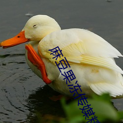 麻豆果凍傳媒精品