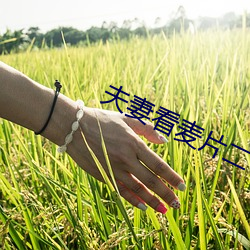 (q)看麦片二十(sh)分(fēn)钟