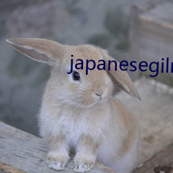 japanesegilrxx