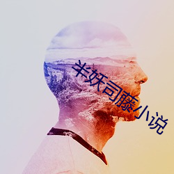 半(半)妖司藤小说