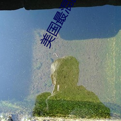 美(美)国最(最)混(混)乱(亂)的村庄