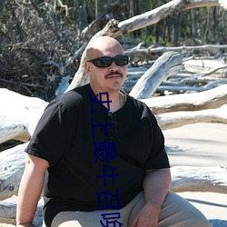 史上最牛召唤