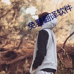 免费翻译软件 （超尘逐电）