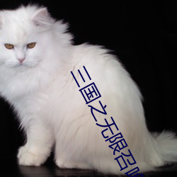 三国之无限召唤