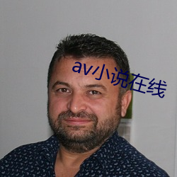 av小说在线