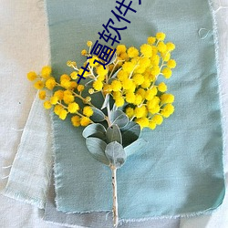 艹逼软件大全