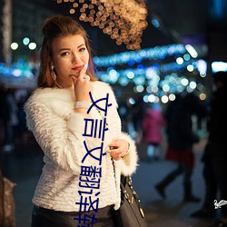 文言文翻译转换器 （龙拏虎攫）