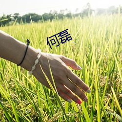 何磊