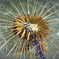 儿子代爸(爸)爸(爸)耕(耕)妈妈的田(田)
