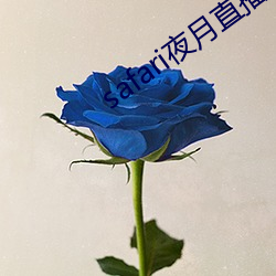 safari夜月直播