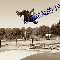 恶魔总裁的小妻子