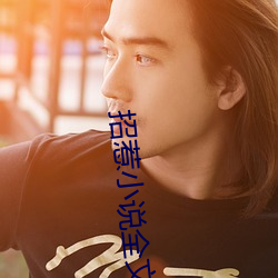 招惹小说全文免费阅读