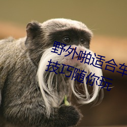 野外啪适合车内双人运动的姿势和技巧随你玩 （百卉千葩）