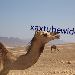 xaxtubewideos