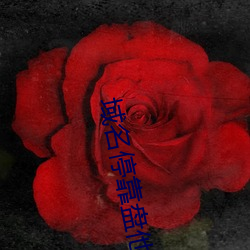 域(yù)名？盘他射门app下(xià)载