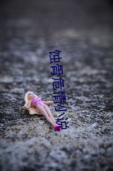 蝕骨危情小說