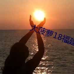 大菠蘿18福建導航