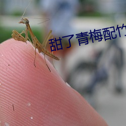 甜了青梅配竹馬電視劇免費