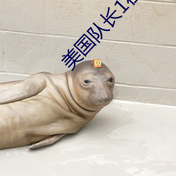 美国队长1在线免费观看中(zhōng)文(wén)版