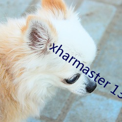 xharmaster 13