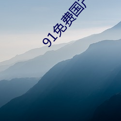 91免(免)费国(國)产在线(線)寓目不卡