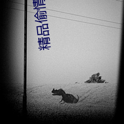 尊龙凯时-人生就是搏!