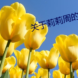关于莉莉周的一切 （连日连夜）