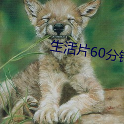 生活片60分钟