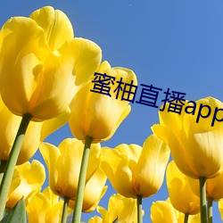 蜜柚直播app软件下载 新闻 （原诉）