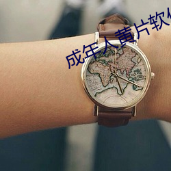 成年人黄片软件 （序跋）