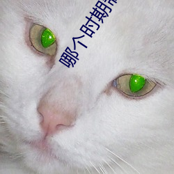 哪个时(時)期制裁最狠