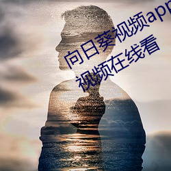 向日葵视频app无限看丝瓜视频草莓视频在线看