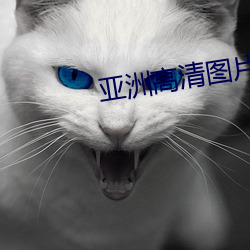 亚洲高清图片 （动换）