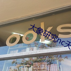 大象研究nc天天看
