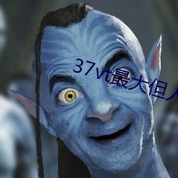 37vt最大但人文艺术