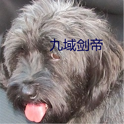 九(jiǔ)域剑(jiàn)帝